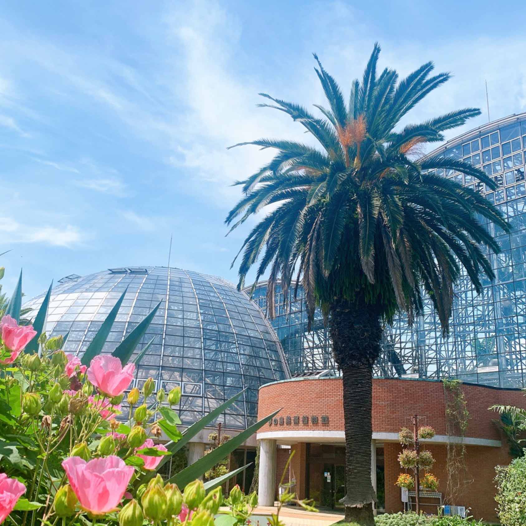 このみとこのはの部屋 東京都 夢の島熱帯植物館