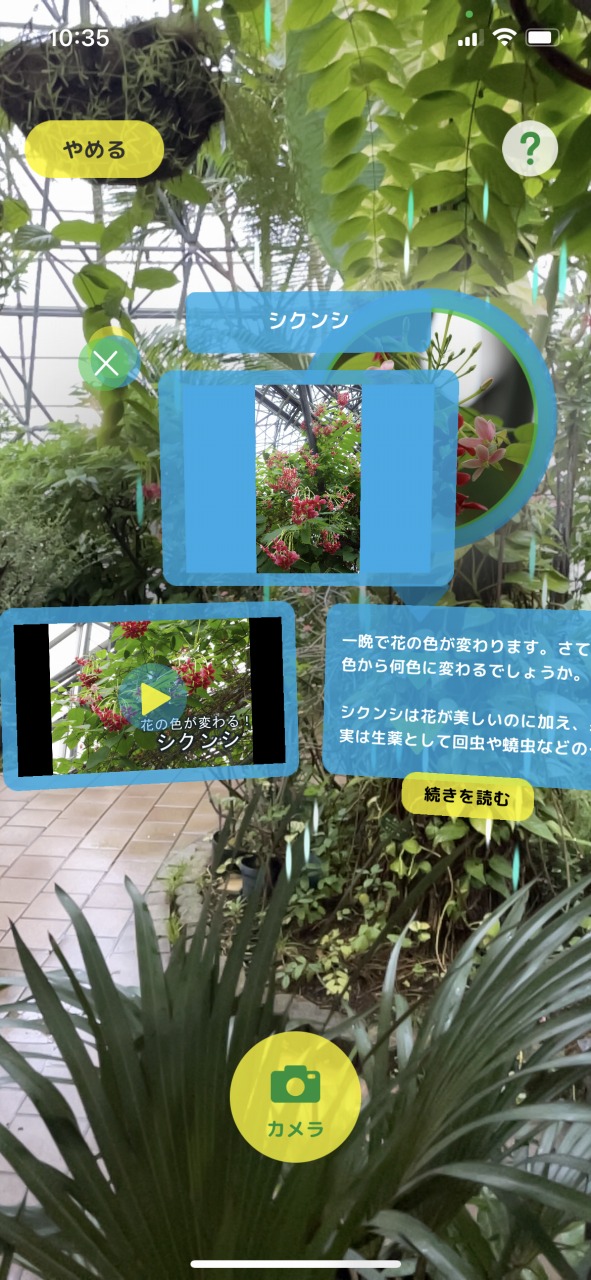 「熱帯植物虫めがねAR」イメージ2