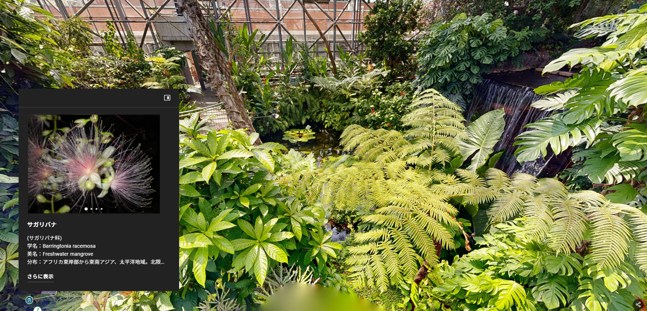 「バーチャル植物館」イメージ