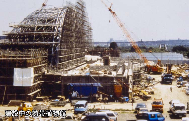 夢の島公園の誕生イメージ