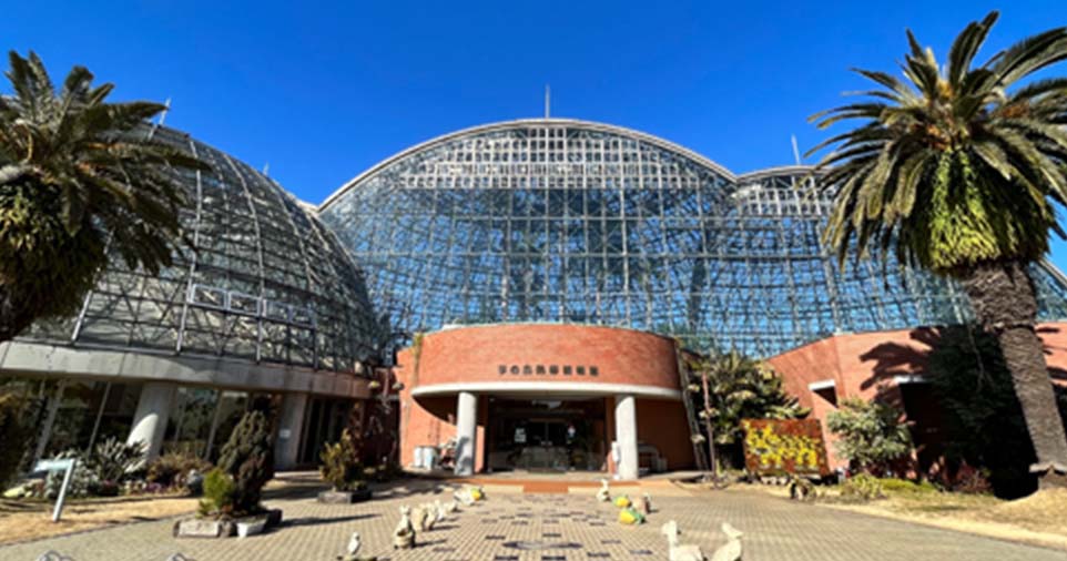 夢の島熱帯植物館