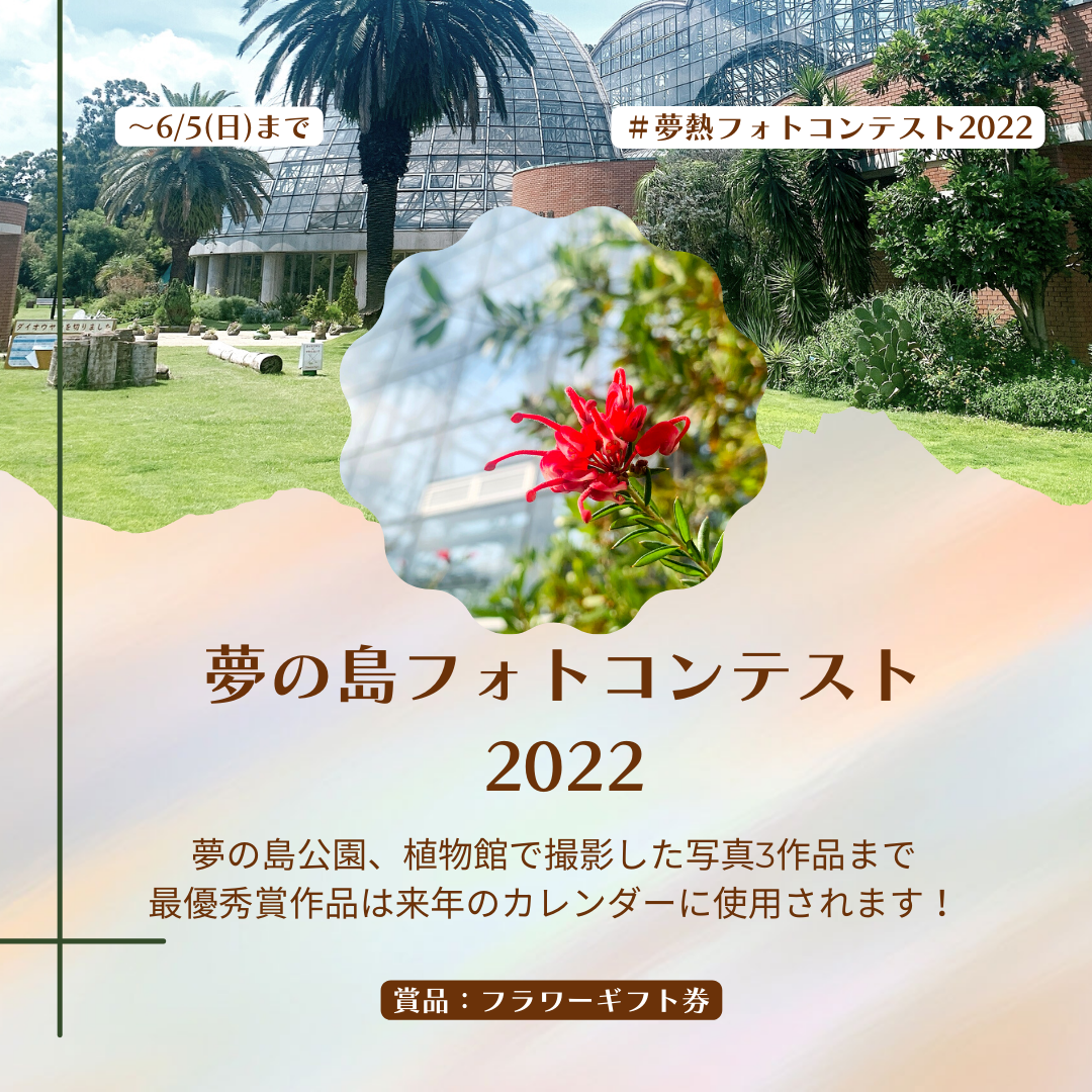 夢の島フォトコンテスト22 東京都 夢の島熱帯植物館 夢の島フォトコンテスト22 東京都 夢の島熱帯植物館