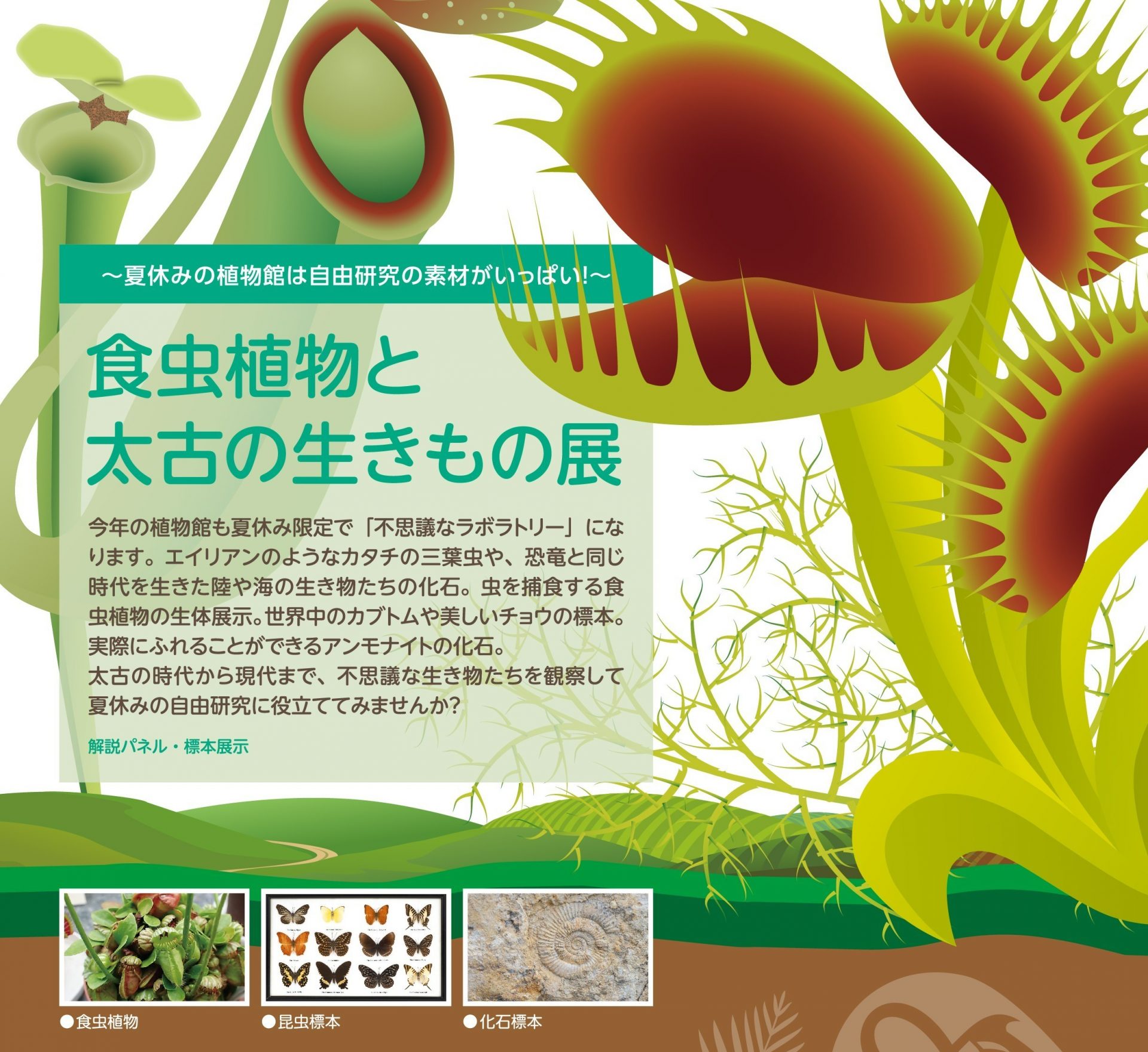 食虫植物と太古の生きもの展- 【東京都】夢の島熱帯植物館