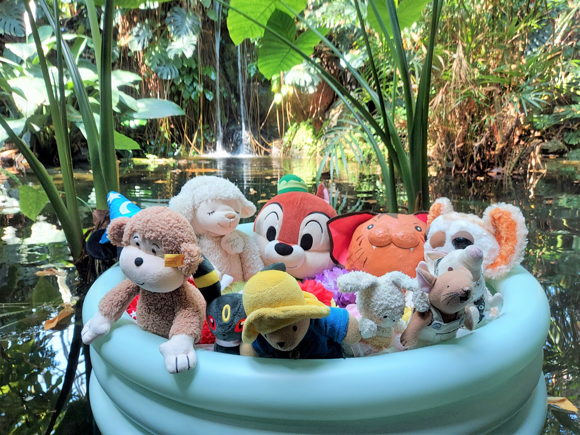 ぬいぐるみのおとまり会 ふしぎ☆トロピカルツアー - 【東京都】夢の島