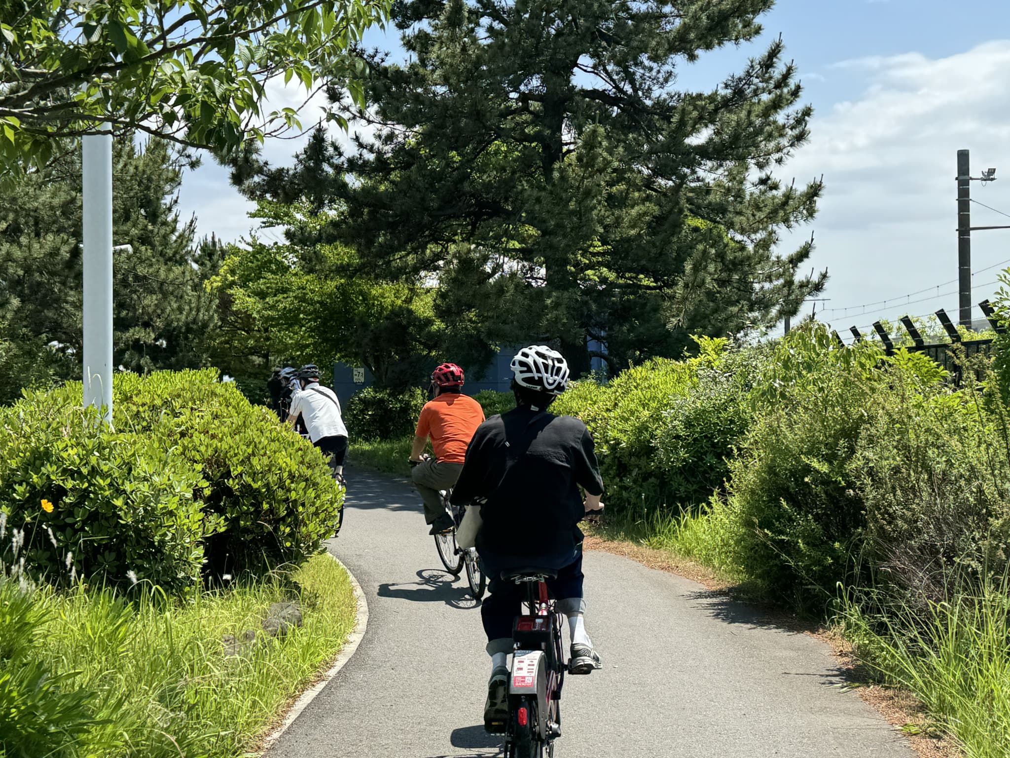 新木場で働く人がおススメする！自転車散歩「散走」コースを大公開 