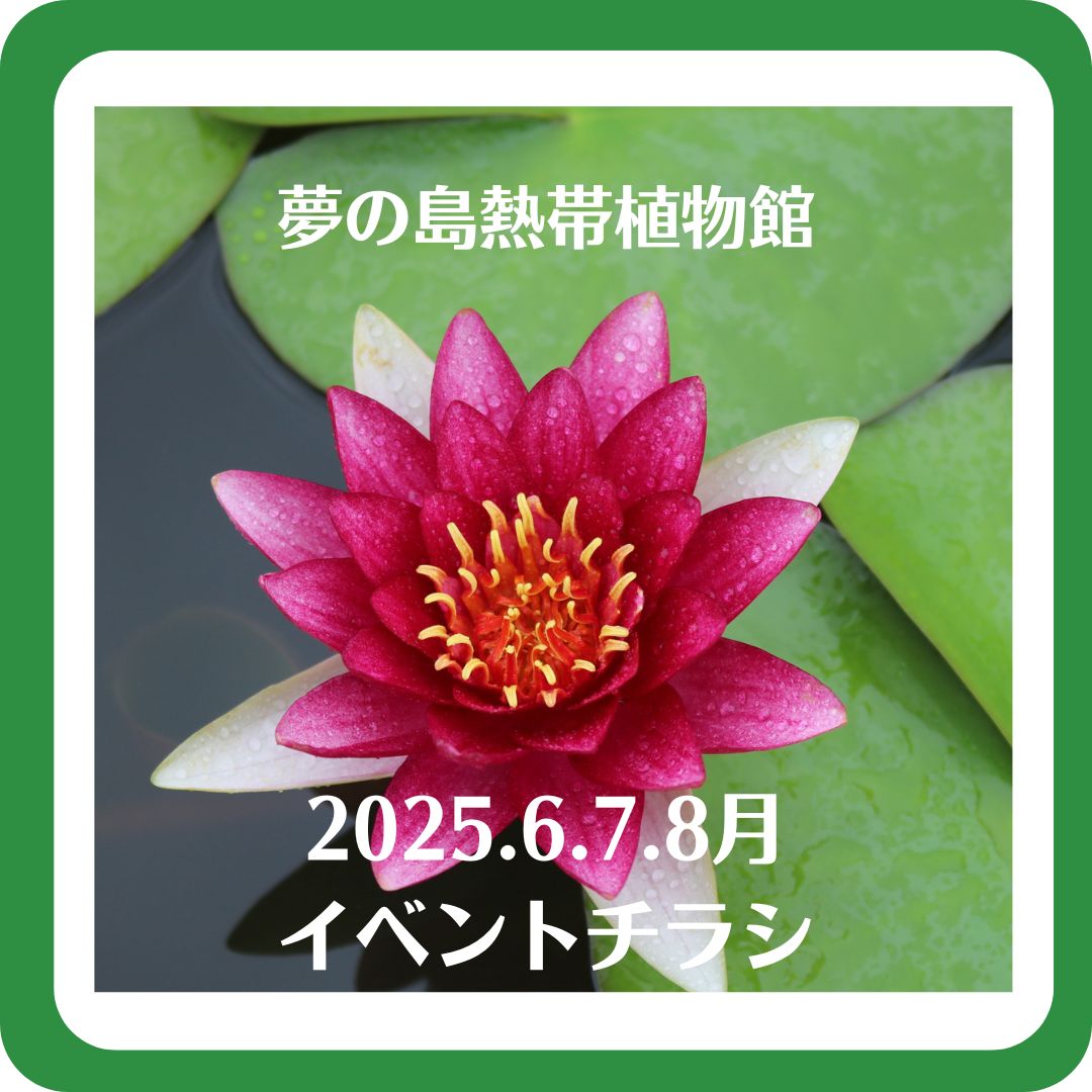 2025年6・7・8イベントチラシ - 【東京都】夢の島熱帯植物館