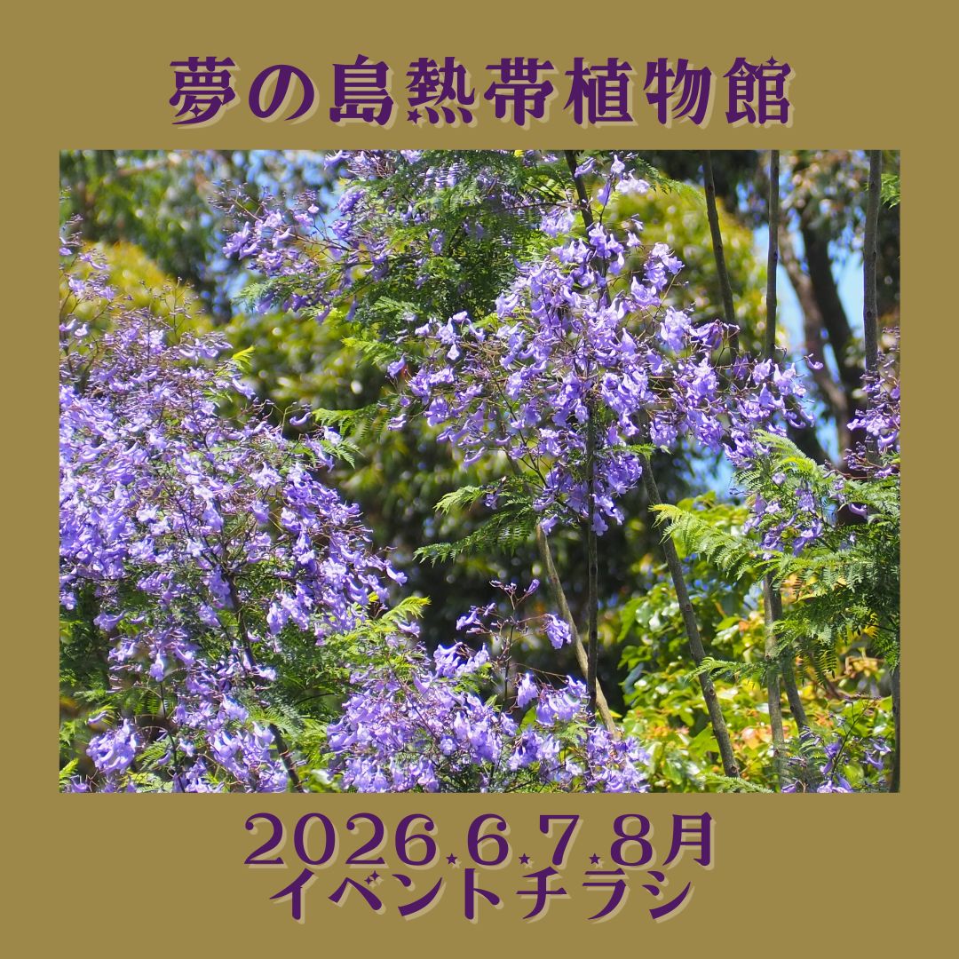 2026年 6月～8月イベントチラシ - 【東京都】夢の島熱帯植物館