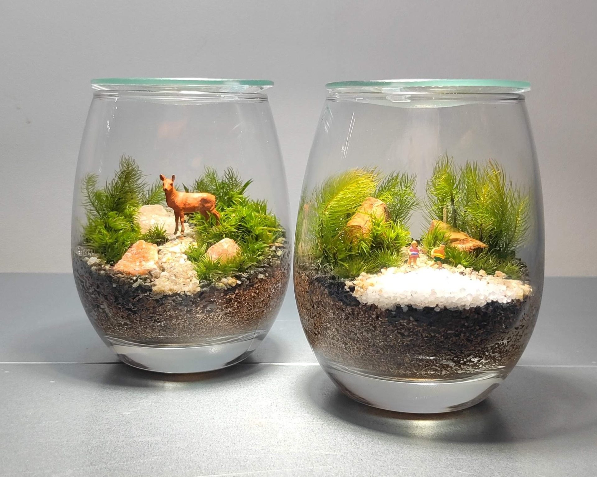 Create a Stylish Kokedama Terrarium for Your Interior