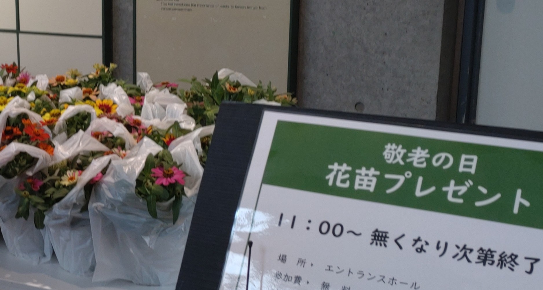 敬老の日 花苗プレゼント - 【東京都】夢の島熱帯植物館